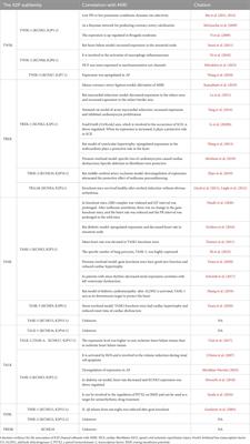 Research progress of two-pore potassium channel in myocardial ischemia-reperfusion injury